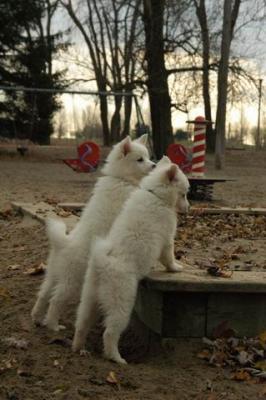 Dec2_04_247.JPG