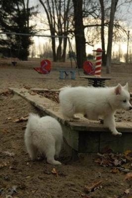 Dec2_04_249.JPG
