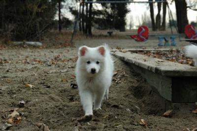 Dec2_04_261.JPG