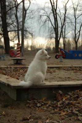 Dec2_04_267.JPG