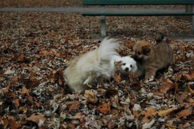 Dec2_04_268.JPG