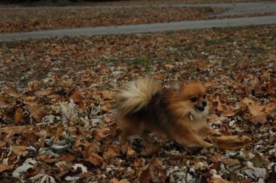 Dec2_04_276.JPG