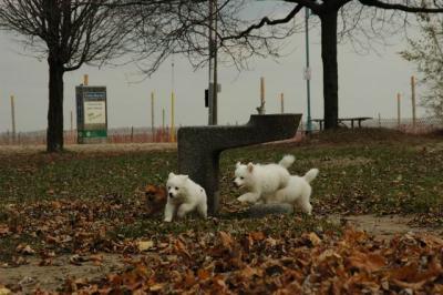 Dec2_04_277.JPG