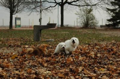 Dec2_04_279.JPG