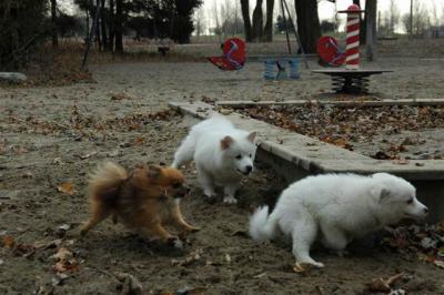 Dec2_04_286.JPG
