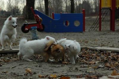 Dec2_04_288.JPG