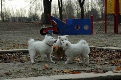 Dec2_04_290.JPG