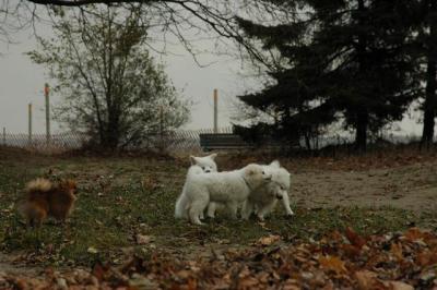 Dec2_04_296.JPG