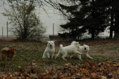 Dec2_04_297.JPG