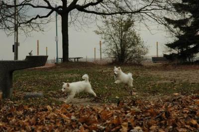 Dec2_04_298.JPG