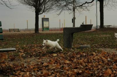 Dec2_04_299.JPG