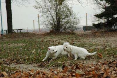 Dec2_04_306.JPG