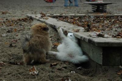Dec2_04_308.JPG