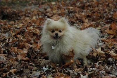 Dec2_04_314.JPG