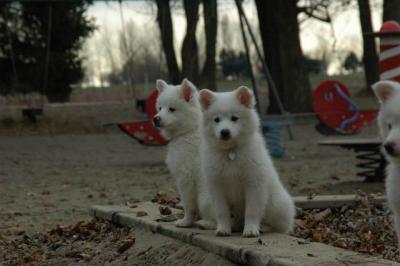 Dec2_04_318.JPG