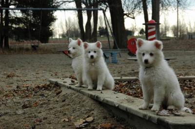 Dec2_04_320.JPG