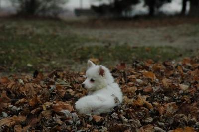 Dec2_04_328.JPG