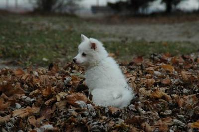 Dec2_04_329.JPG
