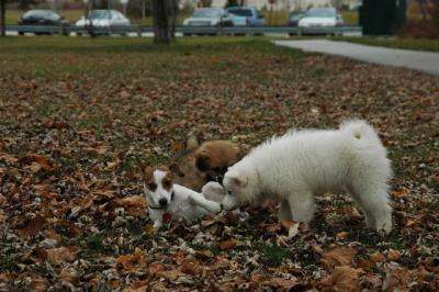 Dec2_04_339.JPG