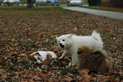 Dec2_04_348.JPG