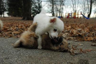 Dec2_04_374.JPG