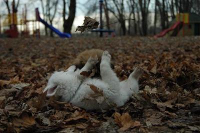 Dec2_04_376.JPG