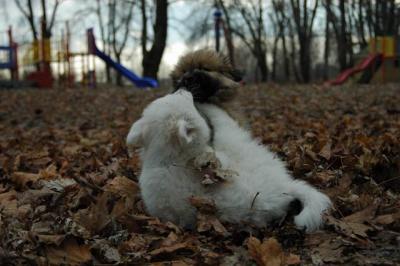 Dec2_04_379.JPG