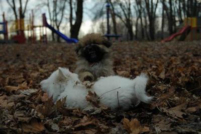 Dec2_04_380.JPG