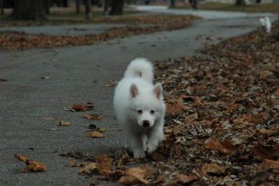 Dec2_04_389.JPG