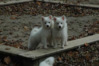 Dec2_04_397.jpg
