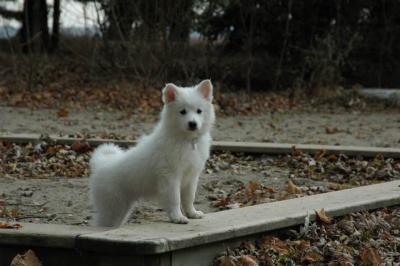 Dec2_04_398.JPG