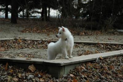 Dec2_04_400.JPG