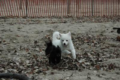 Dec2_04_405.JPG