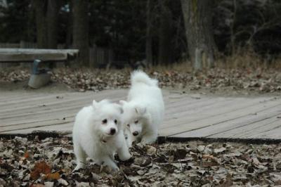 Dec2_04_407.JPG