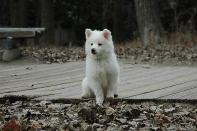 Dec2_04_408.JPG