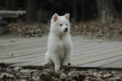 Dec2_04_410.JPG