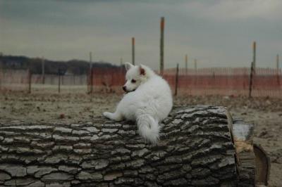 Dec2_04_414.JPG