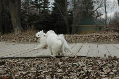 Dec2_04_417.JPG