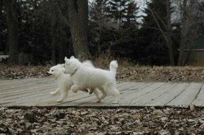 Dec2_04_418.JPG