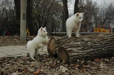 Dec2_04_429.JPG