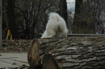 Dec2_04_433.JPG