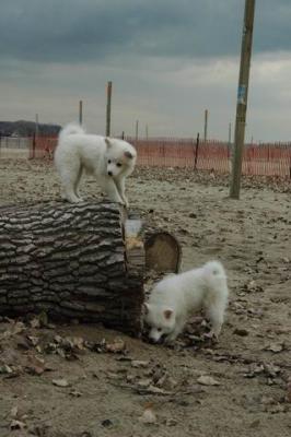 Dec2_04_440.JPG