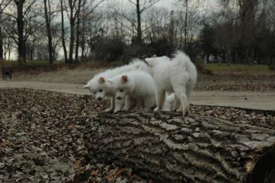 Dec2_04_453.JPG