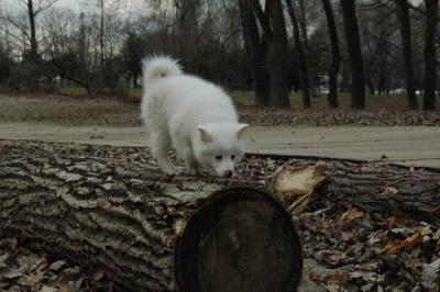 Dec2_04_455.JPG