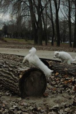Dec2_04_458.JPG
