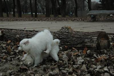 Dec2_04_464.JPG