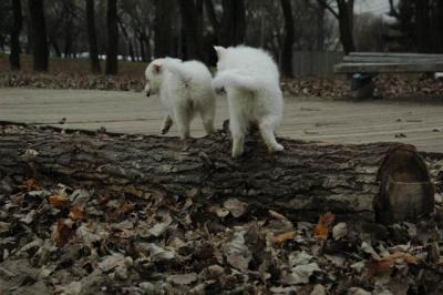 Dec2_04_466.JPG