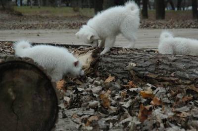 Dec2_04_468.JPG