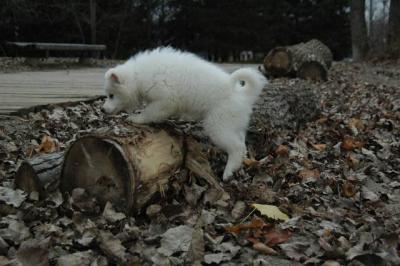 Dec2_04_471.JPG