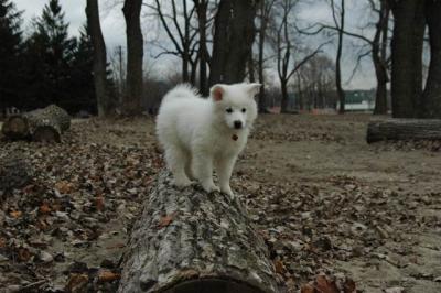 Dec2_04_476.JPG